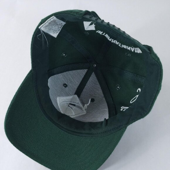 International Hat Cap Snap Back Green Eagle Parts Advertising Mens Tonkin Taiwan - Picture 5 of 6